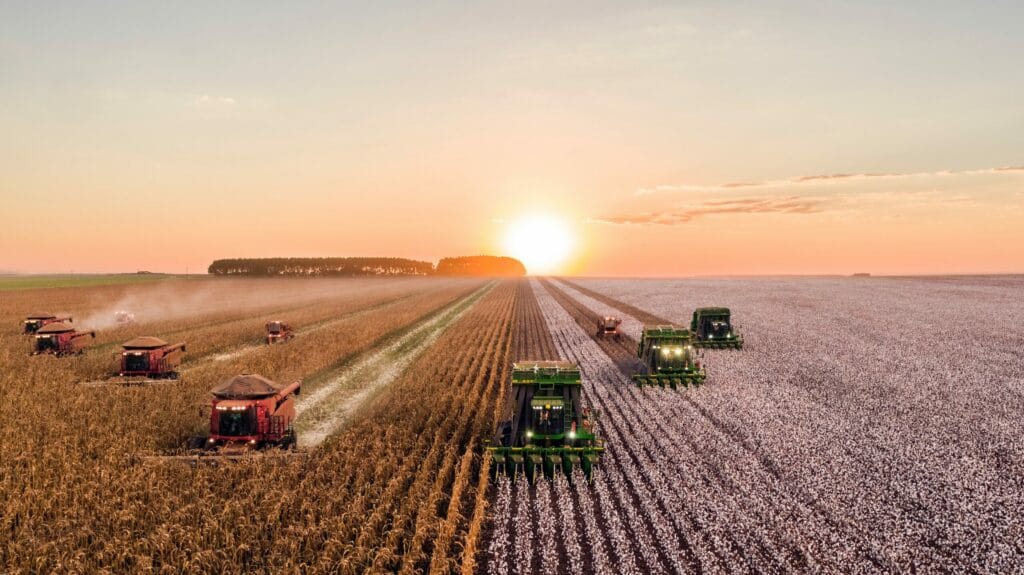 crop field with combines