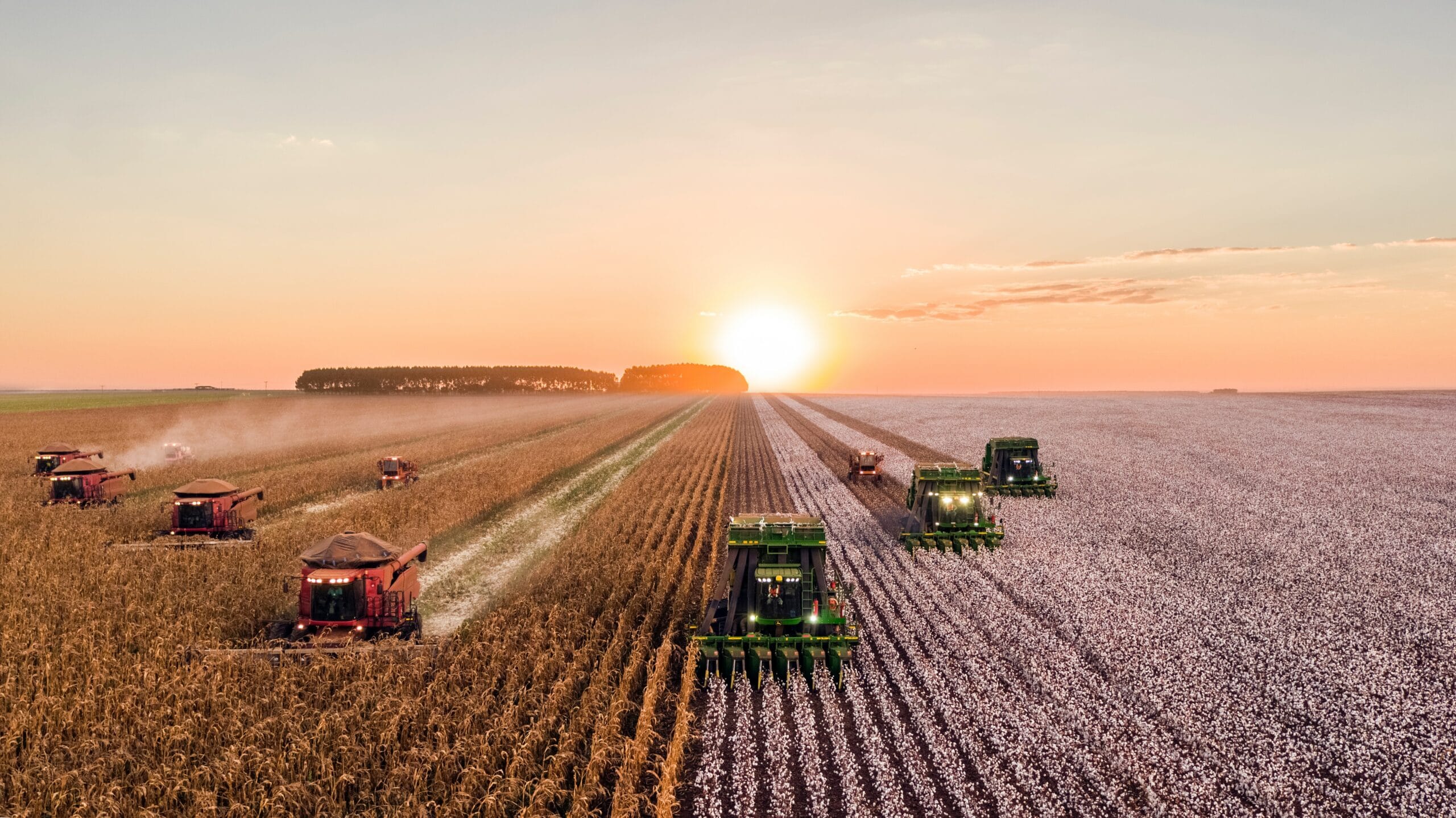 crop field with combines