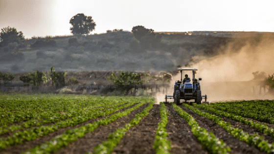 Tractor on a field