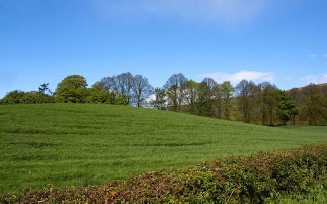 green field