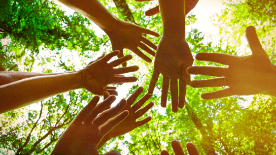 hands in a forest