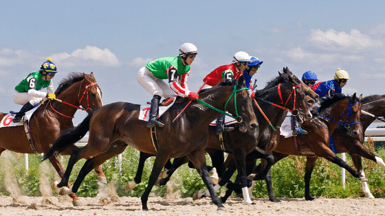 horse racing