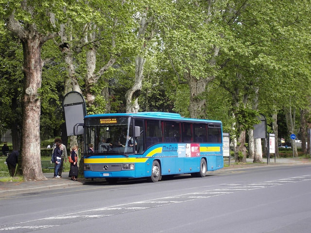 public bus