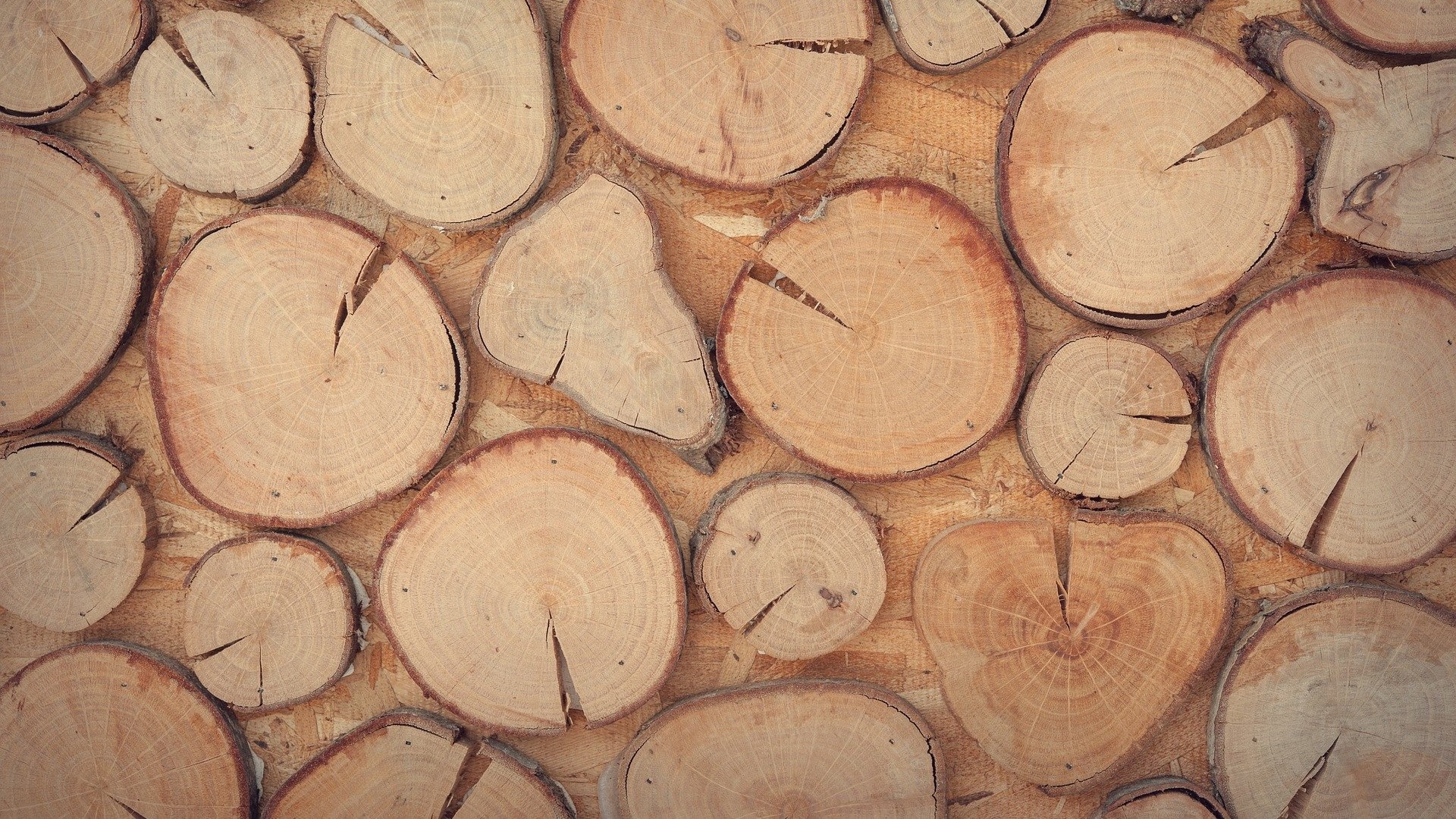 processed wood
