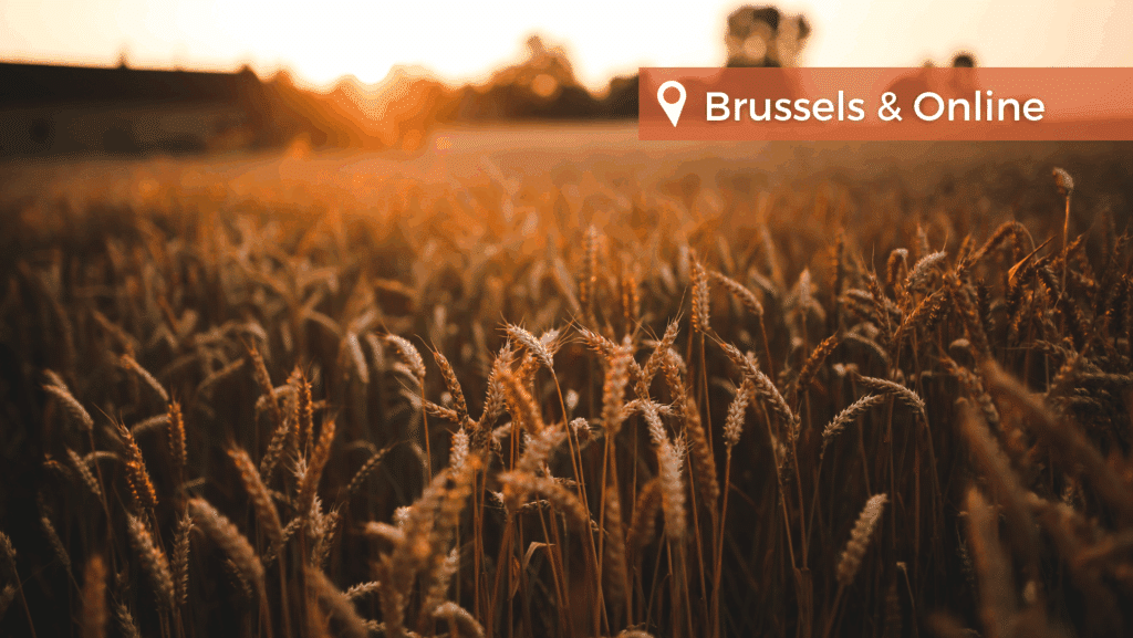 20th European Food and Feed Law Conference - Pictures Events 2023 87