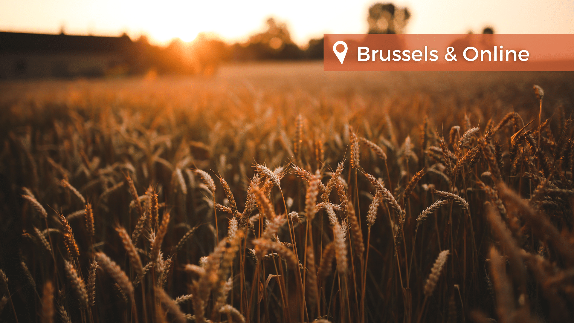 20th European Food and Feed Law Conference - Pictures Events 2023 87