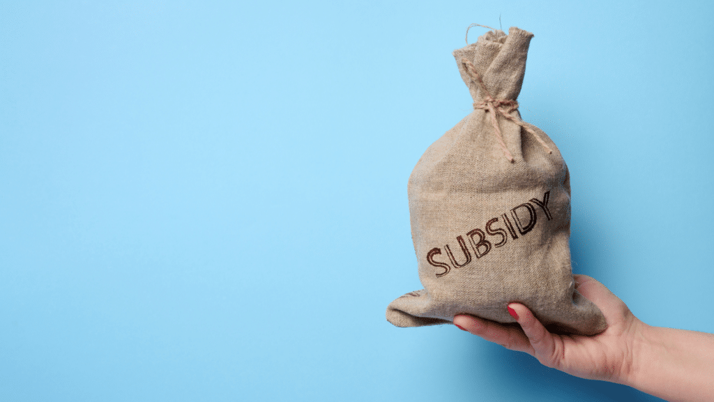 UK Subsidy Control Insider - DPI 6