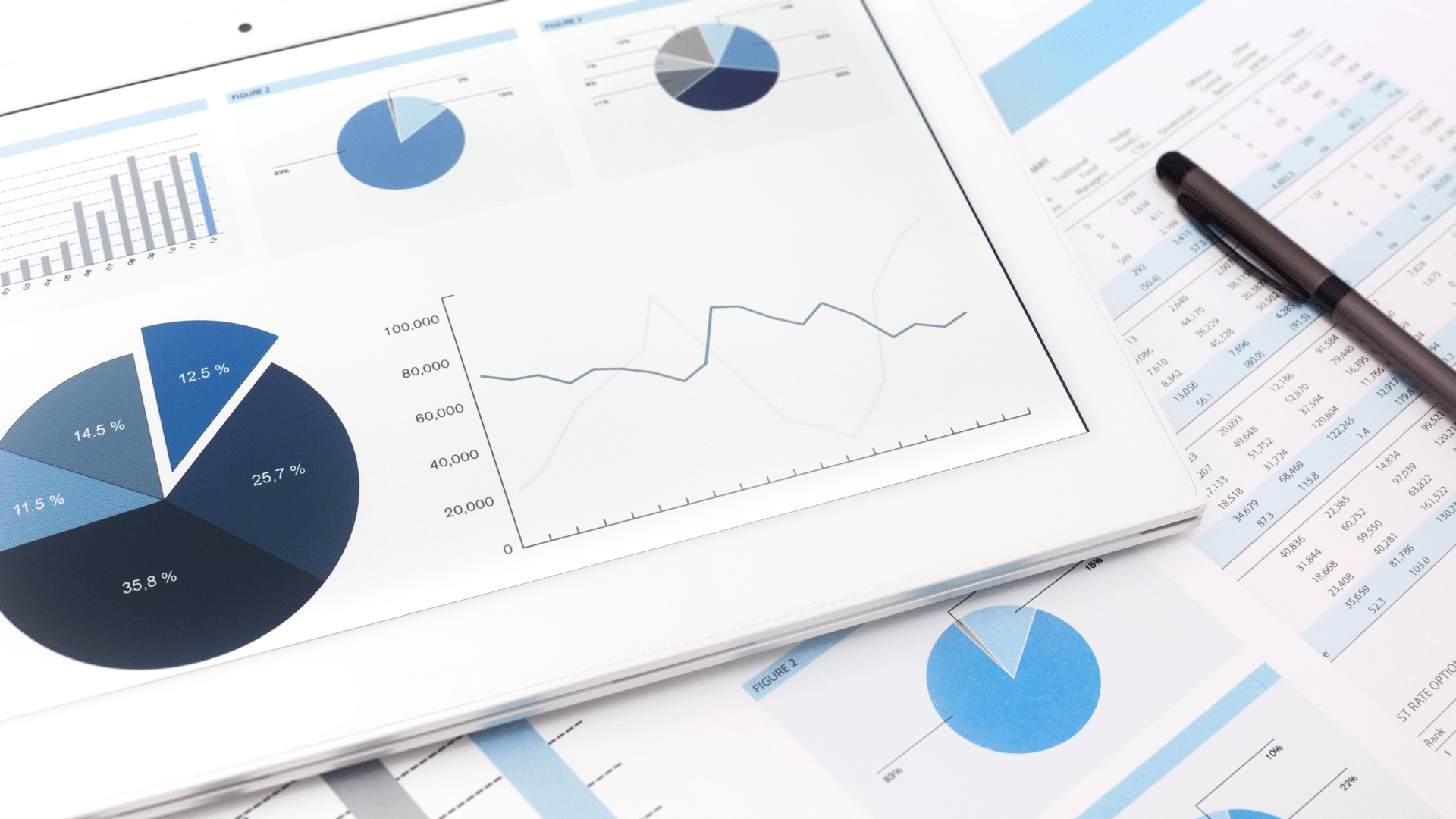 Subsidy Advice Unit Reports: Lessons Learned So Far - DPI 9