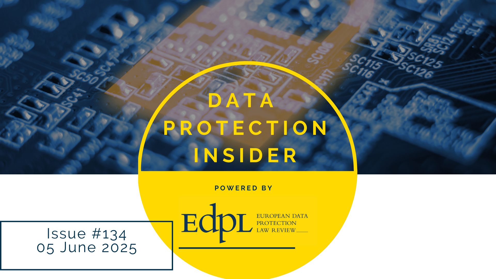Data Protection Insider, Issue 134 - DPI 30 1