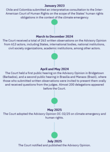 Climate Litigation Brief #3/2025 Inter-American Court of Human Rights Advisory Opinion on climate emergency and human rights (OC-32/25) of 29 May 2025 - Picture4