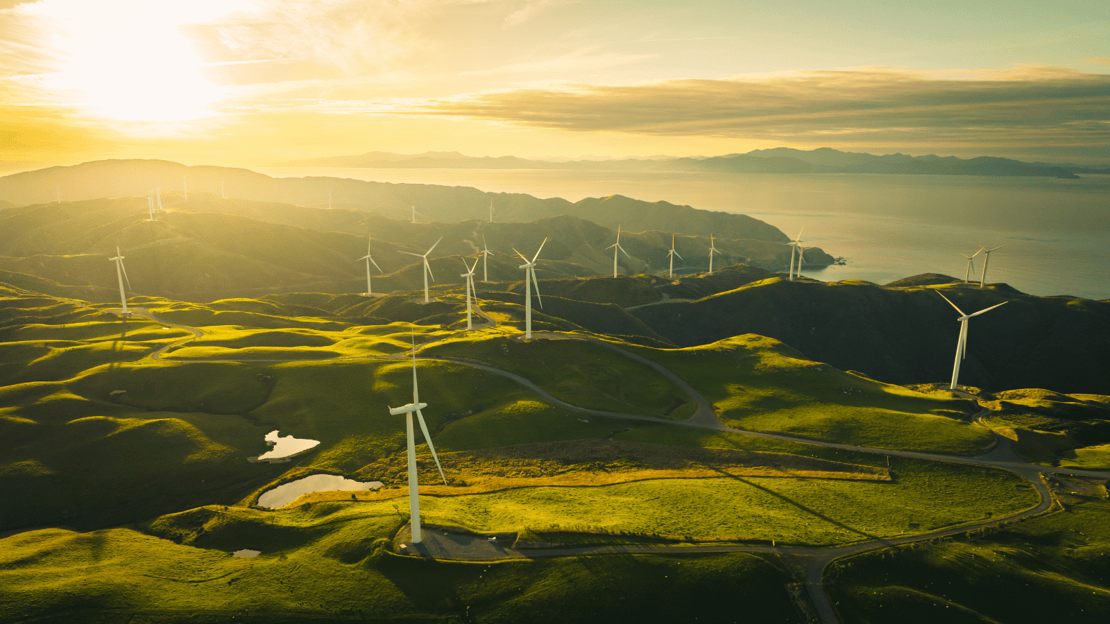 Auctions for Green Electricity Production - Wind State Aid Uncovered photos website