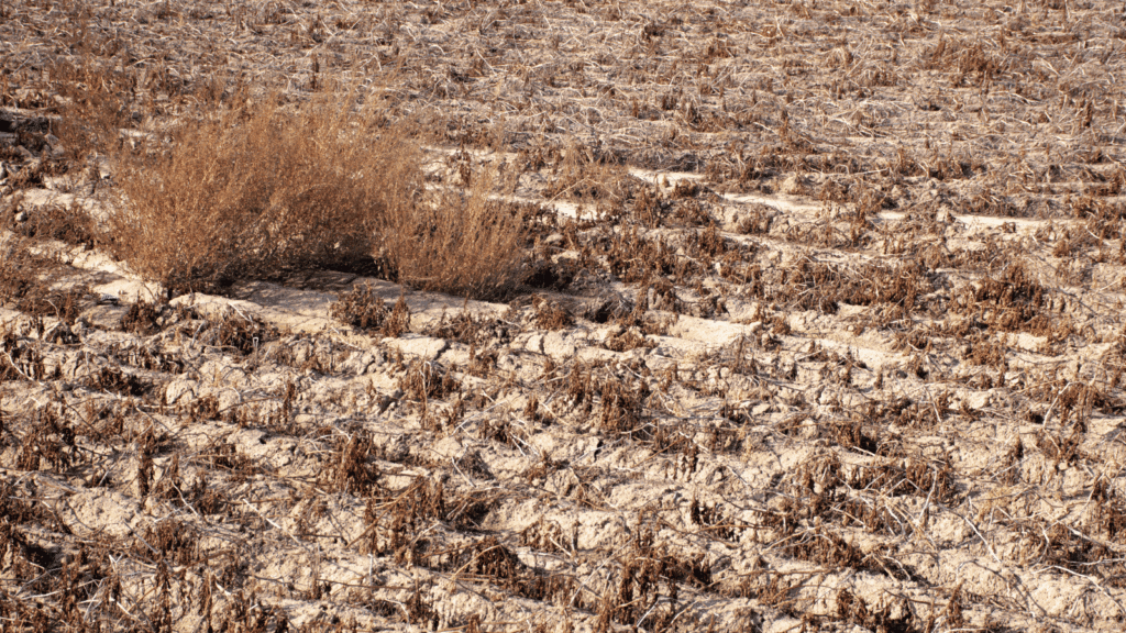 State Aid Blogs - drought State Aid Uncovered photos website