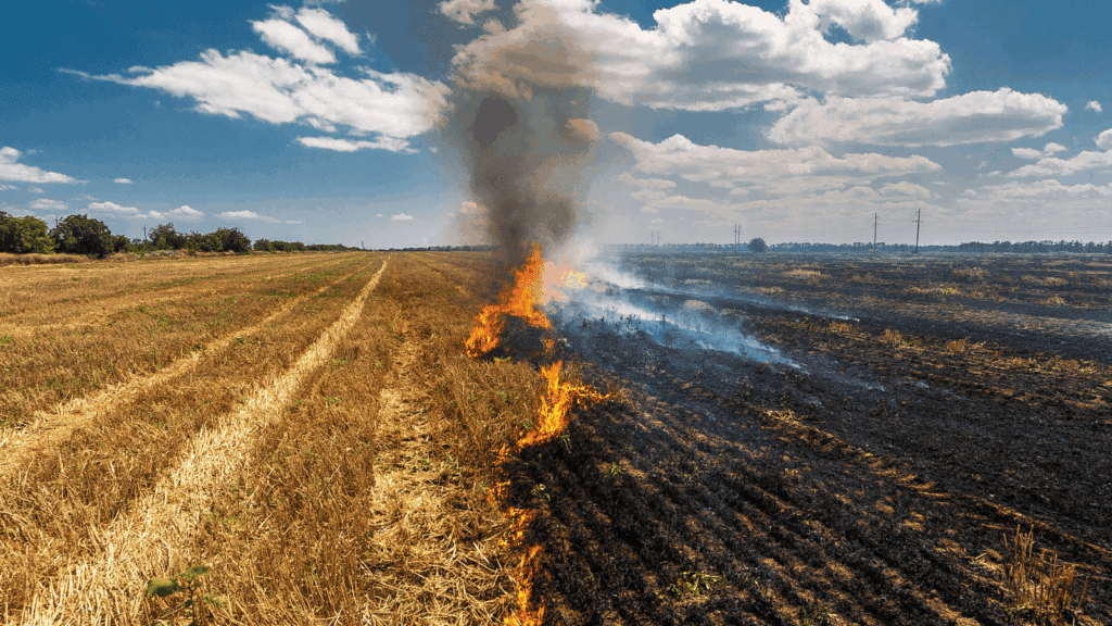 State Aid Blogs - damaged agricultural land State Aid Uncovered photos website